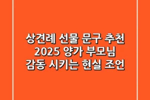 상견례 선물 문구 추천: 2025 양가 부모님 감동 시키는 현실 조언