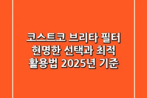 코스트코 브리타 필터, 현명한 선택과 최적 활용법 (2025년 기준)