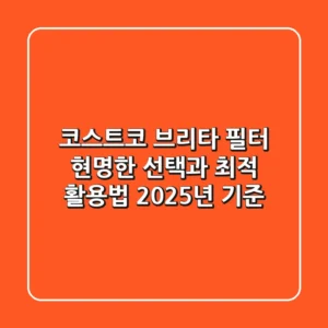 코스트코 브리타 필터, 현명한 선택과 최적 활용법 (2025년 기준)