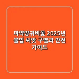 마약양귀비꽃, 2025년 불법 씨앗 구별과 안전 가이드