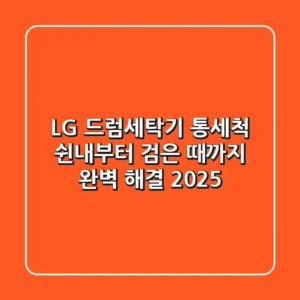 LG 드럼세탁기 통세척: 쉰내부터 검은 때까지 완벽 해결 2025